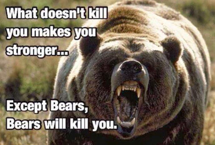 bears kill you.jpg